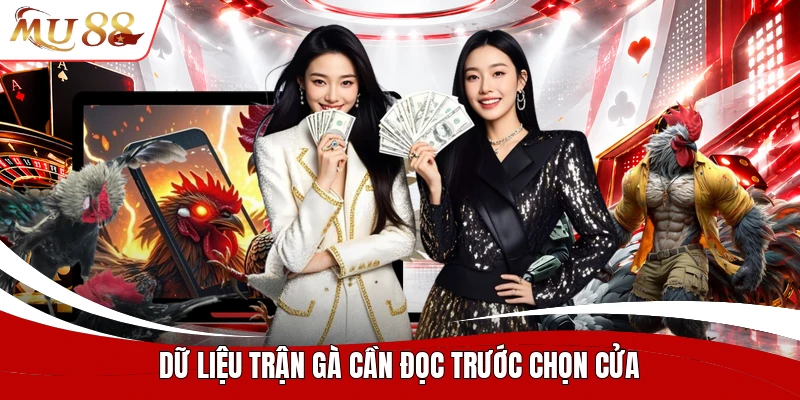 Dữ liệu trận gà cần đọc trước chọn cửa